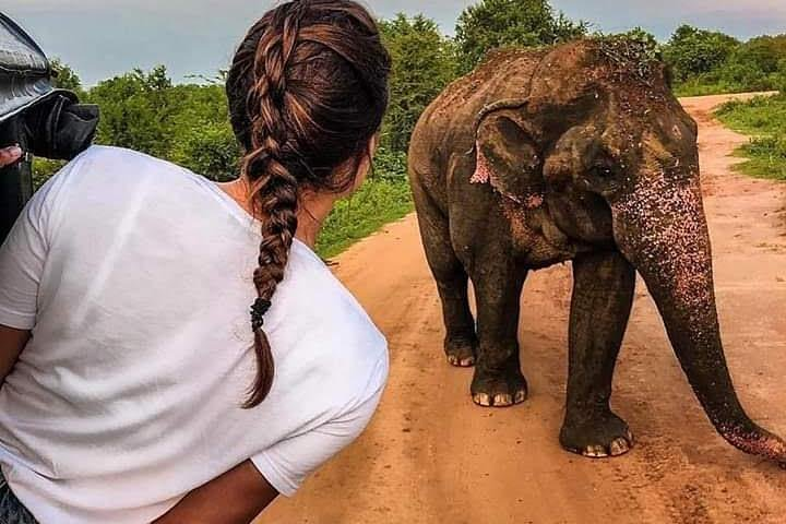 Best Of Sri lanka Tour (06 Days 05 Nights) - Kandy- N.Eliya -Bentota-Colombo - Photo 1 of 13